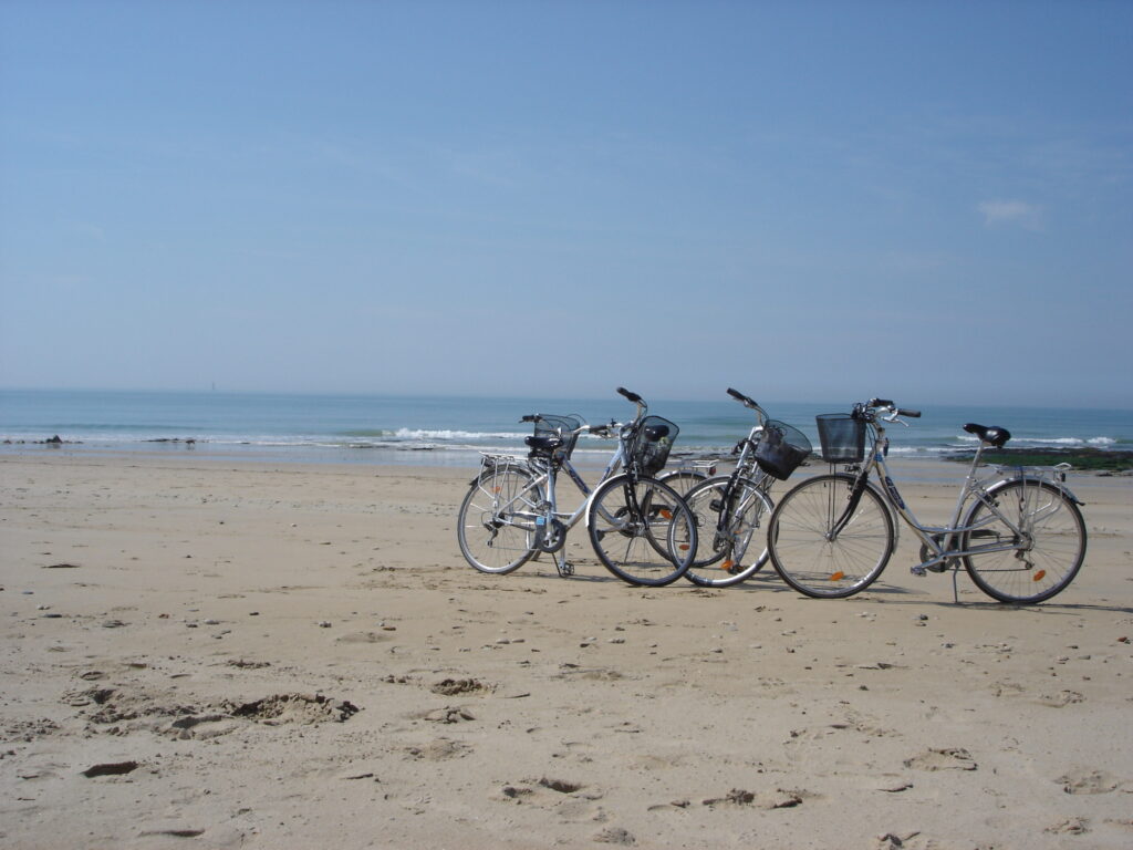 betavers conseil environnement