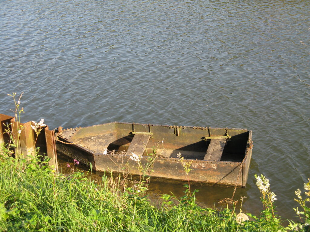 betavers conseil manager stratégie environnement