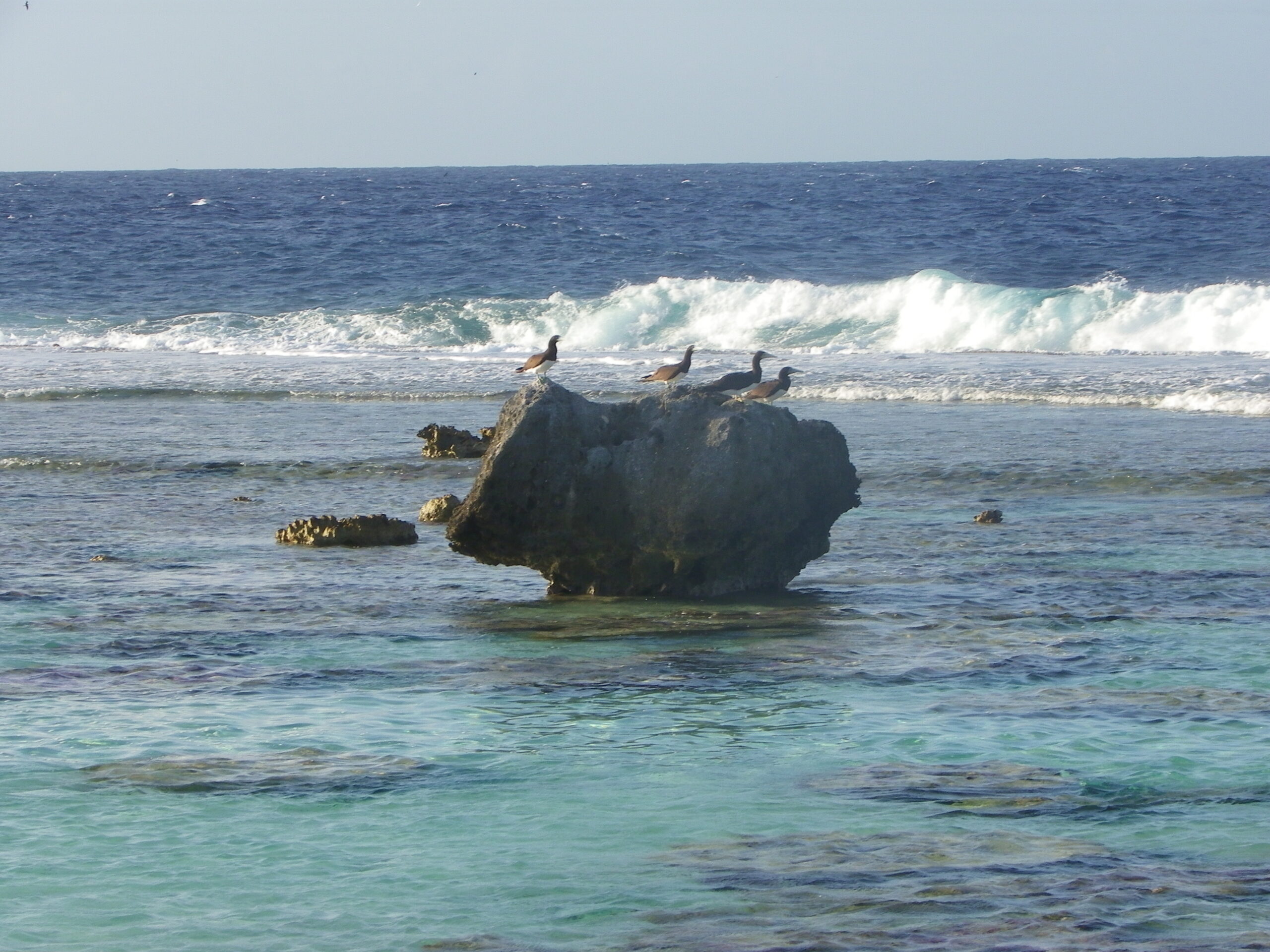 Betavers conseil management de l'environnement