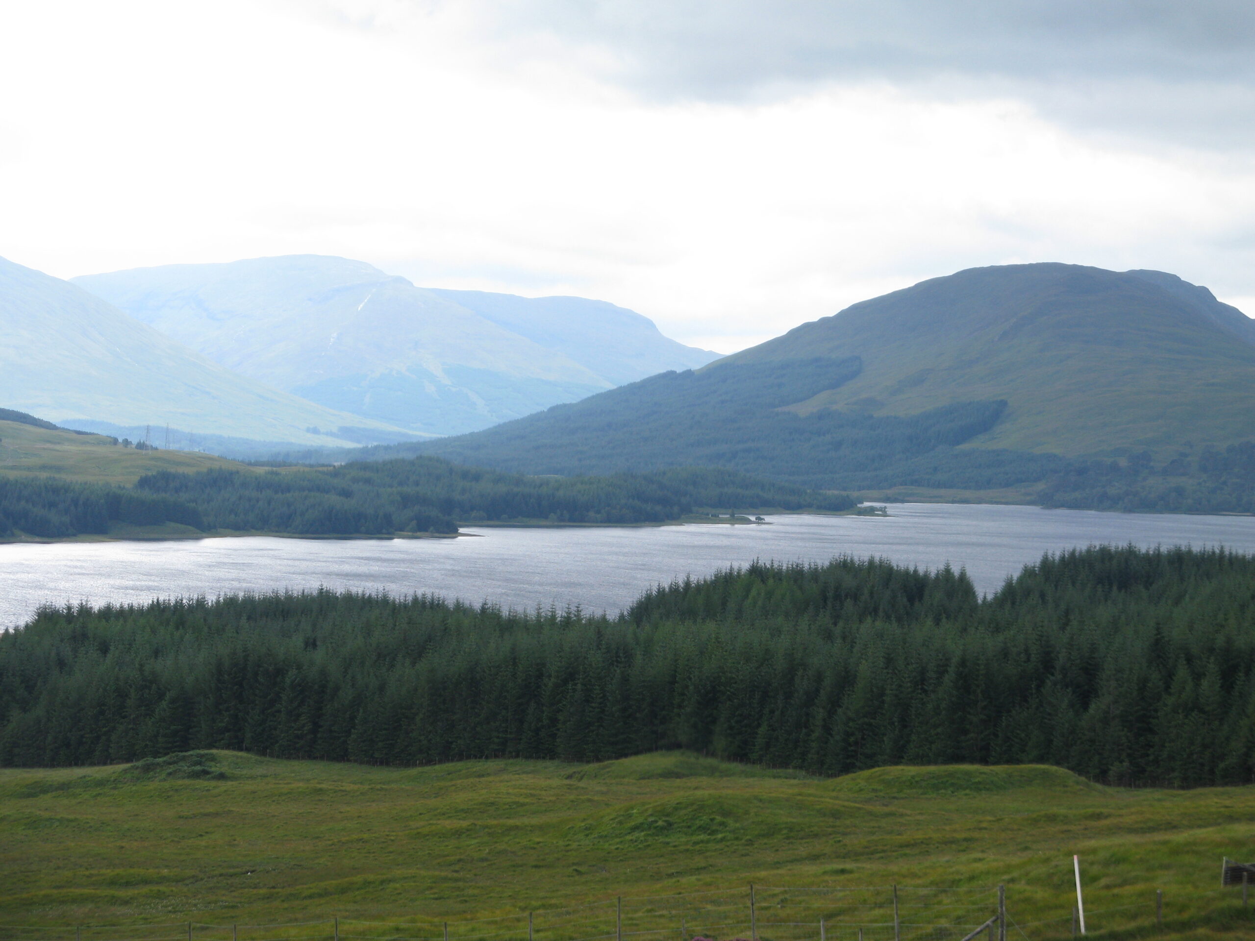 Betavers conseil management de l'environnement