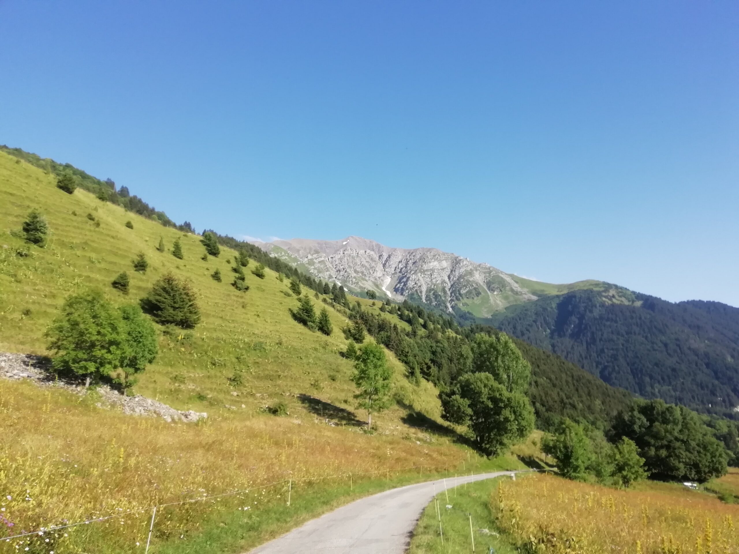 Betavers conseil management des stratégies et de l'environnement