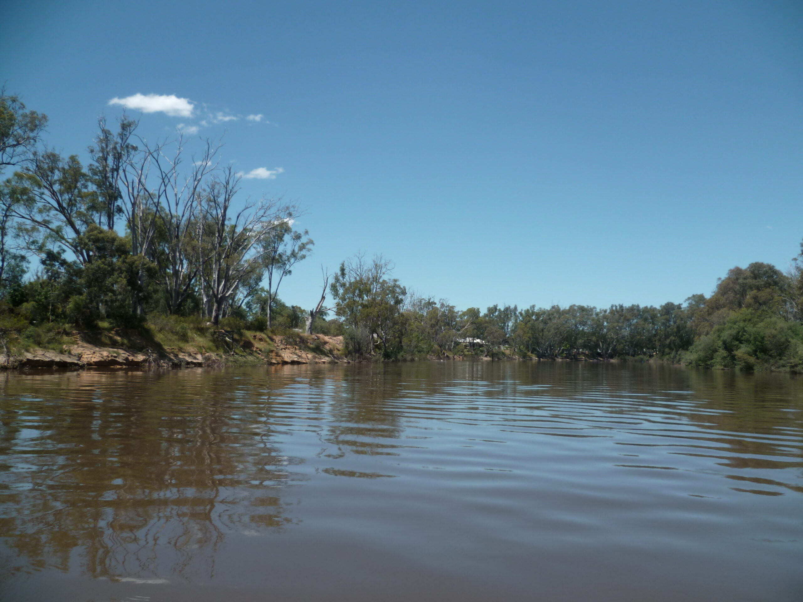 Betavers conseil management de l'environnement