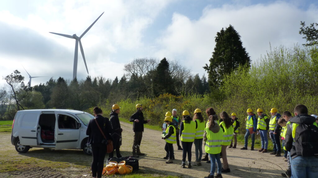 Betavers conseil management de l'environnement
