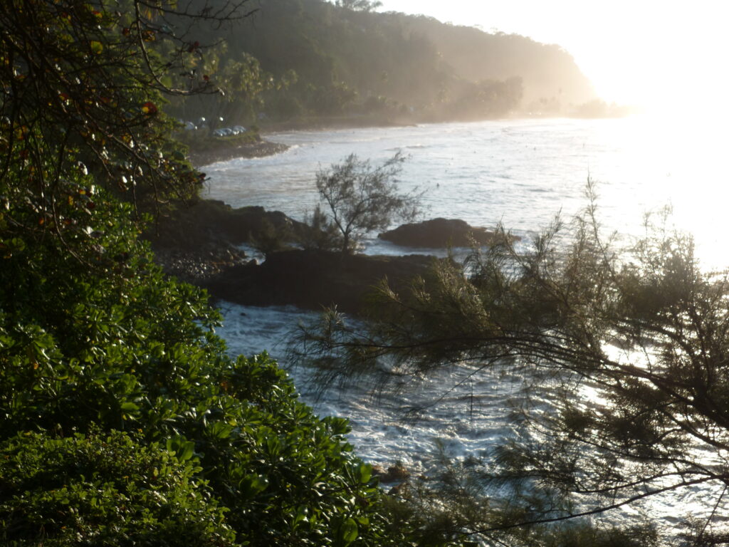 betavers conseil mer littoral