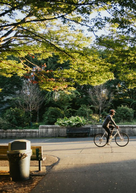 Betavers conseil management des stratégies et de l'environnement