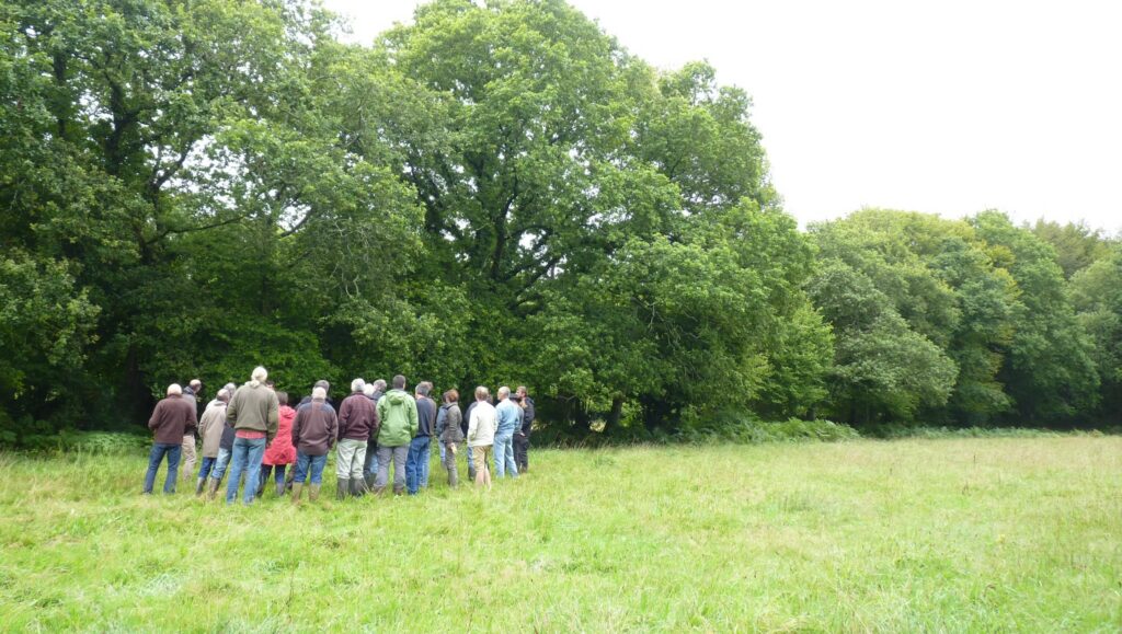 Betavers conseil le management de l'environnement