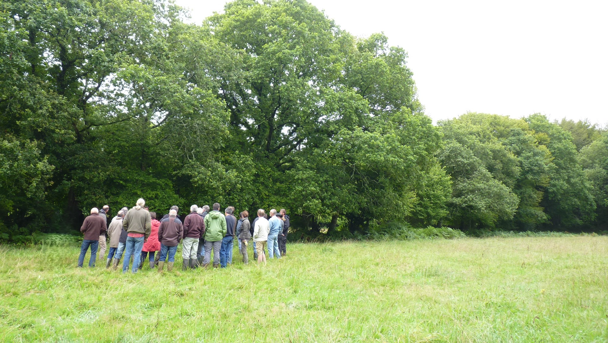 Betavers conseil le management de l'environnement