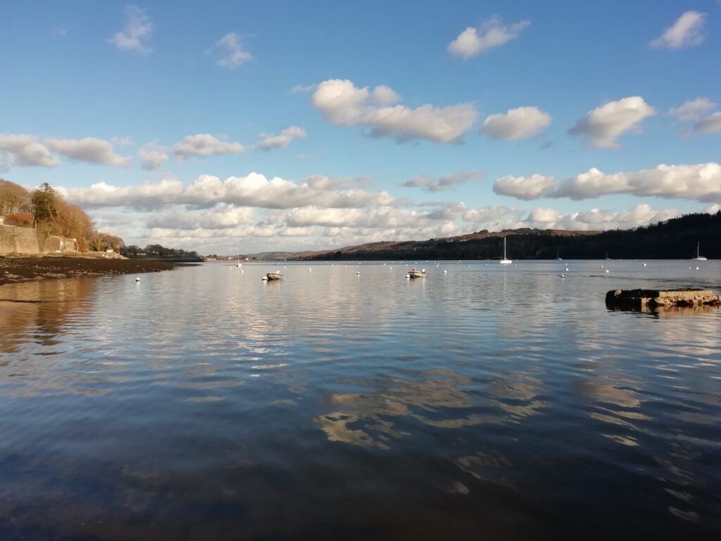 Contacter Betavers conseil