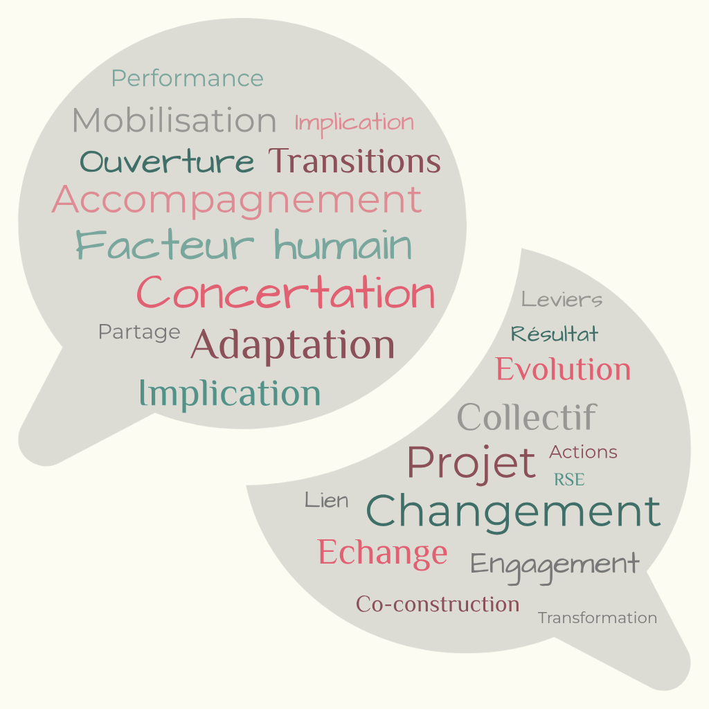 Betavers conseil concertation projet transitions RSE facteur humain
